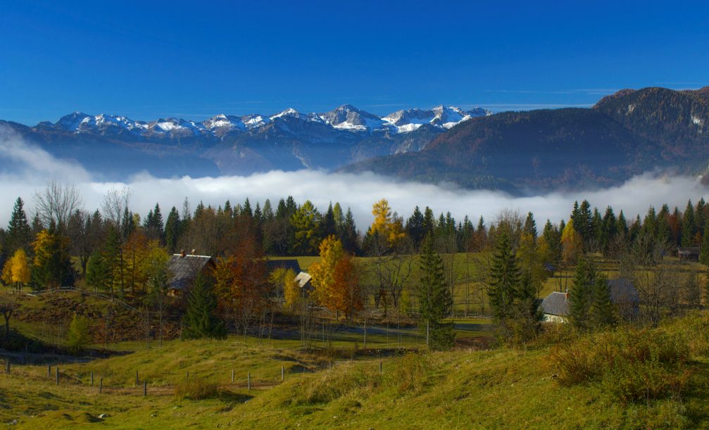 Pokljuka, a karst plateau dotted with farmsteads and covered with pastures in Triglav National Park, Slovenia 