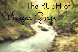 The rush of Vintgar Gorge