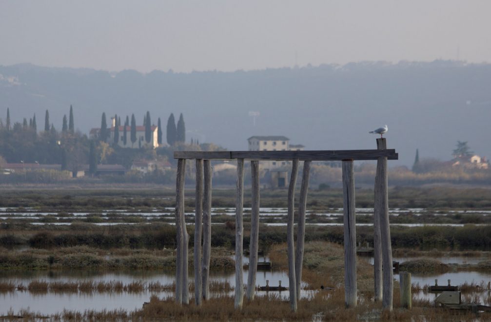 The abandoned part of the Secovlje Saltworks on the Adriatic coast of Slovenia