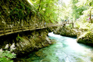 Slovenia, Nature Walk in Vintgar Gorge