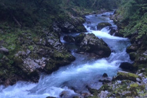 View of Slovenia Vintgar Gorge