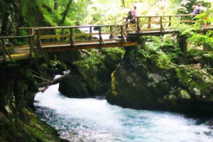 Beautiful Vintgar Gorge, Slovenia