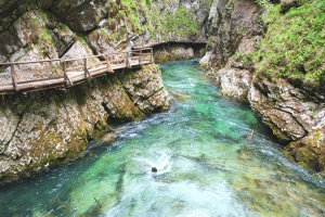 The green waters of Slovenia's Vintgar Gorge