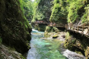 A spectacular walk in the Vintgar Gorge