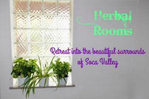 A little place called Herbal Rooms in the Soca Valley