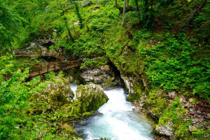 A Hike in the Rain to Vintgar Gorge