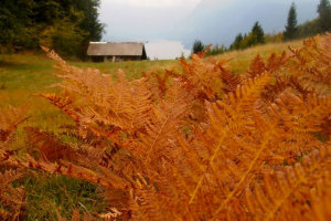 Fall Hiking in Triglav National Park Slovenia