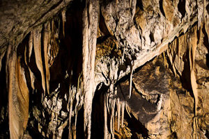 Slovenia's Postojna Cave