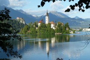 Searching in Slovenia