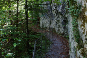 A hike in the Skocjan Caves in Slovenia