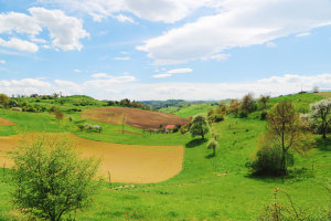 A Big Reason You Should Visit Slovenia This Year, The Wine