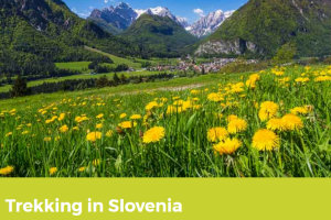 Trekking In Slovenia