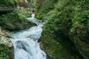 The Vintgar Gorge in Slovenia:, Where nature puts up quite a show