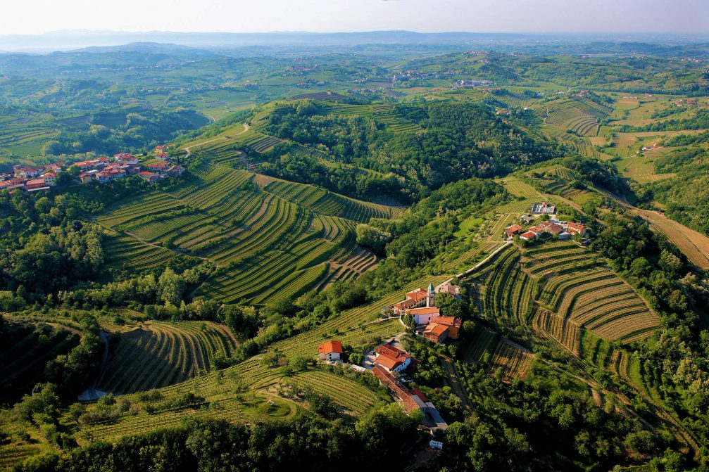 An aerial view of the vineyards at Goriska Brda in western Slovenia