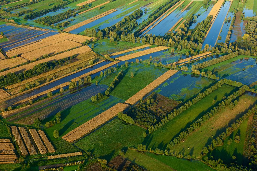 An aerial view of the Ljubljana marshlands in Slovenia