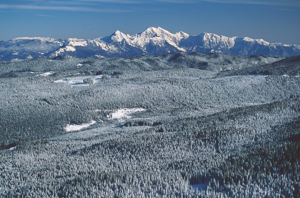 An aerial view of Pokljuka, a forested karst plateau in northwestern Slovenia