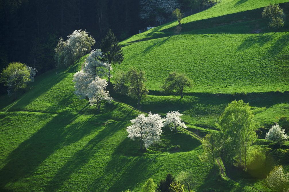 An aerial view of the countryside in the Koroska region of Slovenia in spring