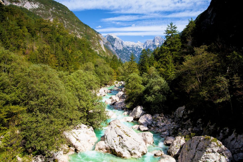 The emerald green Soca river flowing through the Trenta valley in the Julian Alps