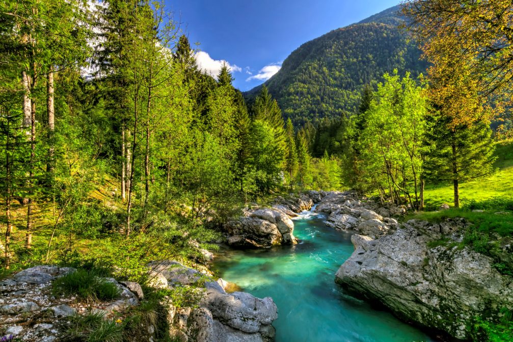 River Soca in the green Trenta Valley in the Triglav National Park in Slovenia