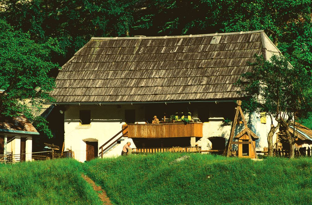 A traditional house with a wooden roof in the Trenta Valley in Slovenia