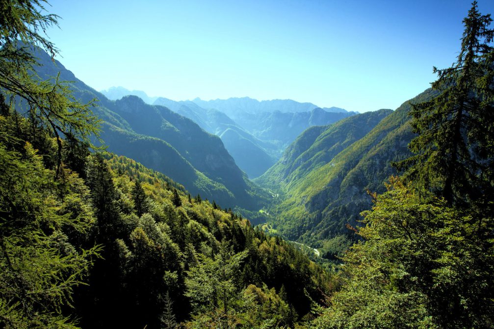 Elevated view of the Zgornja Trenta Valley in the Julian Alps in Slovenia