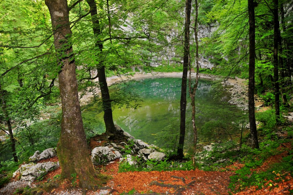 Divje Jezero Lake or Wild Lake in Idrijski Log near Idrija in Slovenia