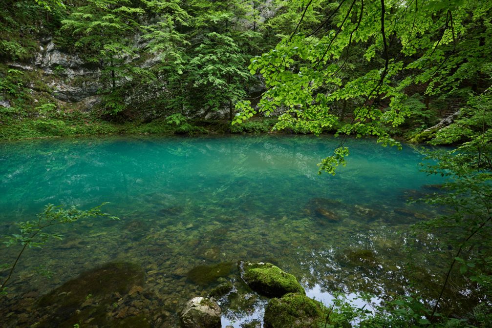 A view of the emerald green Wild Lake near Idrija in western Slovenia