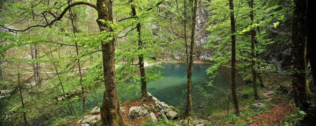 Panoramic view of the emerald green Wild Lake near Idrija in spring