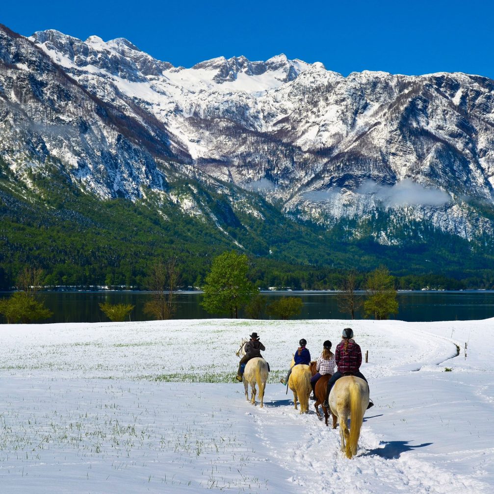 A group of tourists riding on Icelandic horses from the Mrcina ranch in Bohinj covered with snow