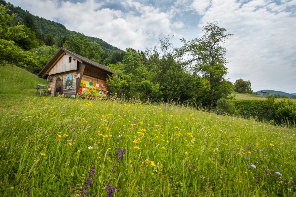 Beehives in the Bohinj area in Slovenia