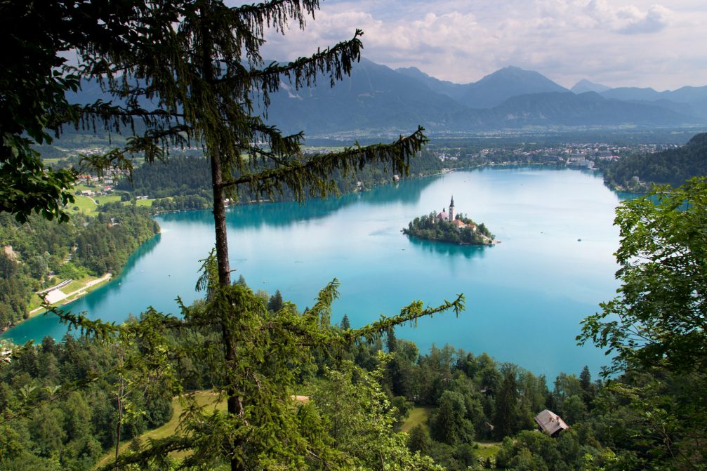 Elevated view of Lake Bled in Slovenia