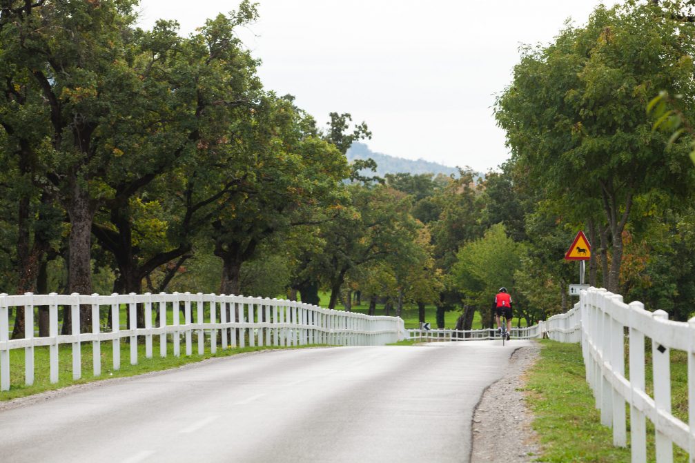 A road through Lipica in southwestern Slovenia