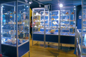 Interior of the Piran Shell And Snail Museum