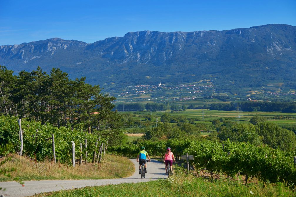 Cycling through the Vipava Valley in western Slovenia