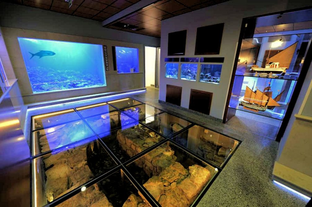 Interior of the Piran Aquarium in the town of Piran in Slovenia