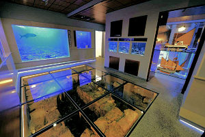 Interior of Piran Aquarium in Slovenia