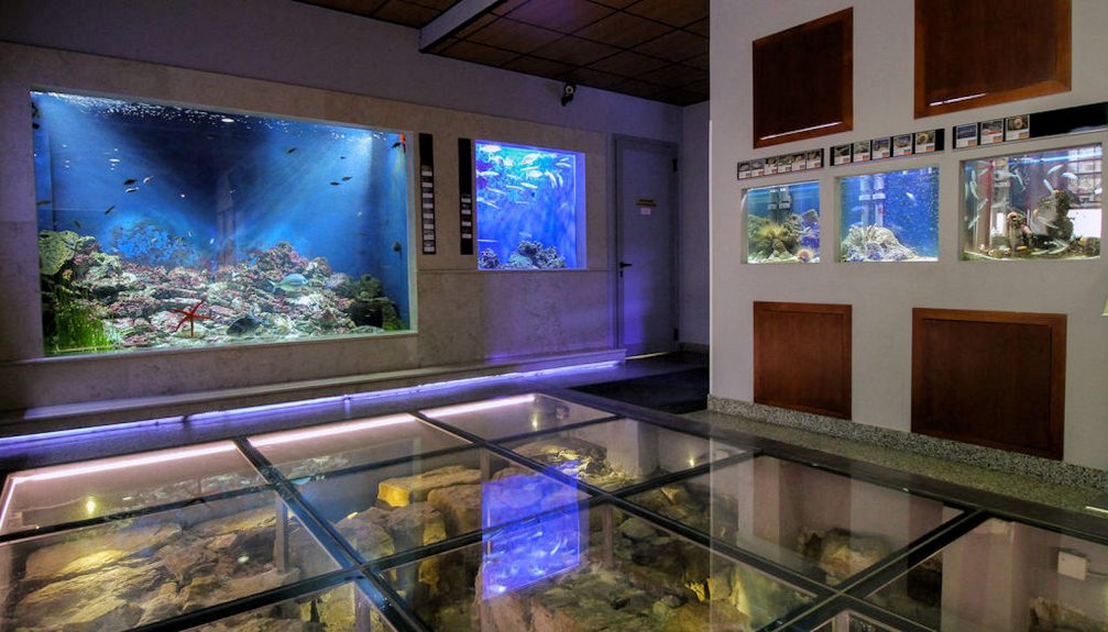 Aquarium tanks in the Piran Aquarium featuring more than 120 species