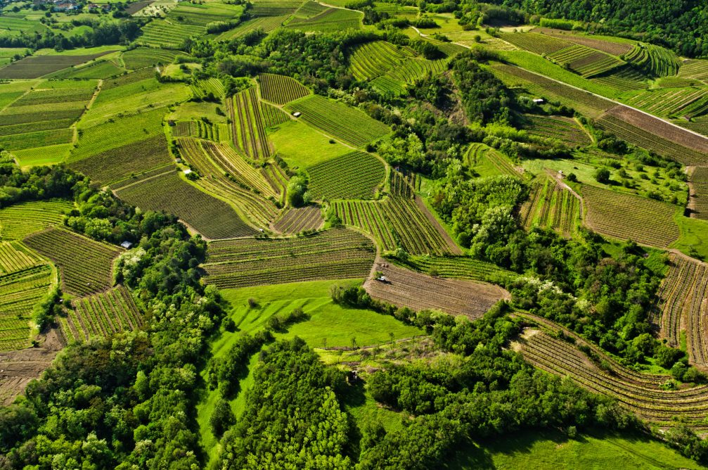 Elevated view of the Upper Vipava Valley in western Slovenia