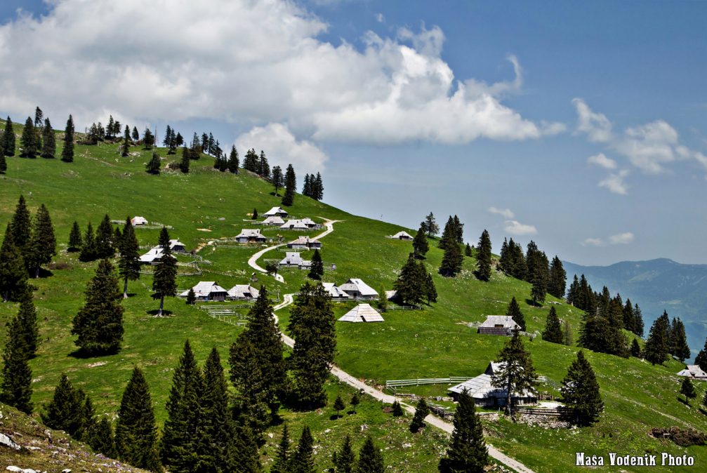 An elevated view of Velika Planina in the Kamnik-Savinja Alps in spring