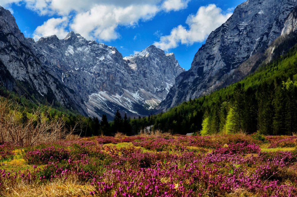 Krma Valley in the Julian Alps in northwestern Slovenia in spring