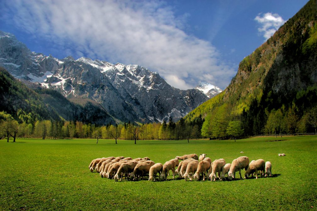 The stunning Logarska valley in northern Slovenia in spring