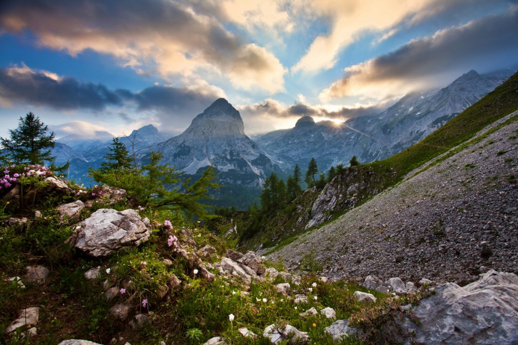 View of the Slovenian Alps in spring