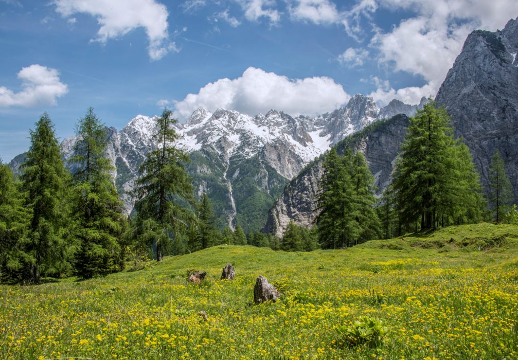 Vrsic in spring with snow capped mountains of the Julian Alps in the background