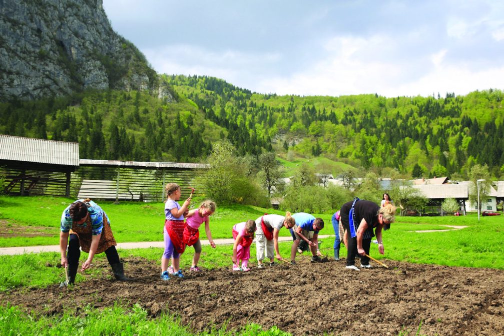 Corn planting in Studor in the Bohinj countryside