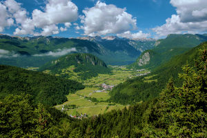 Bohinj Slovenia