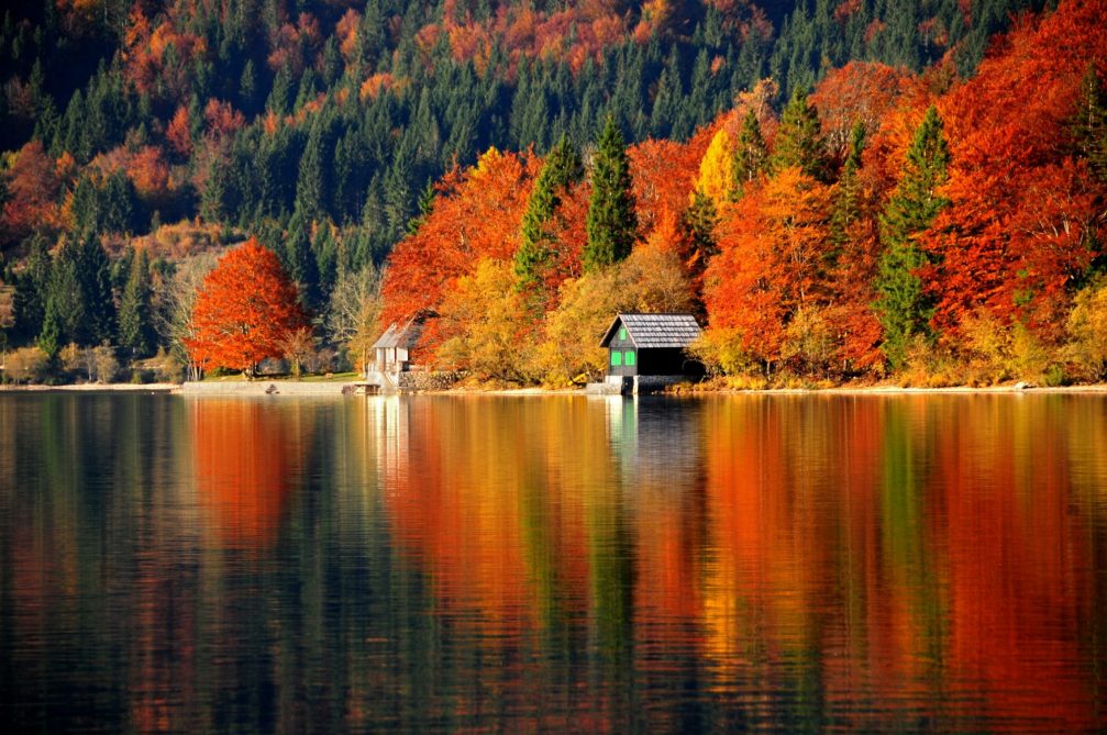Slovenija - Page 2 Lake-bohinj-fall-colors-1007x669