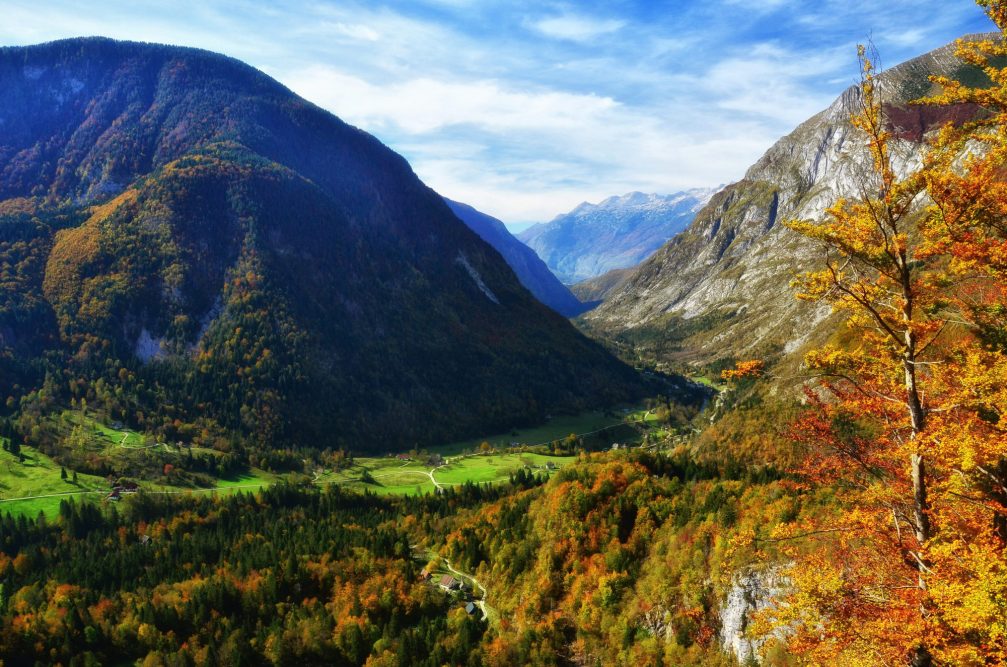 Elevated view of the Trenta valley in Triglav National Park in autumn