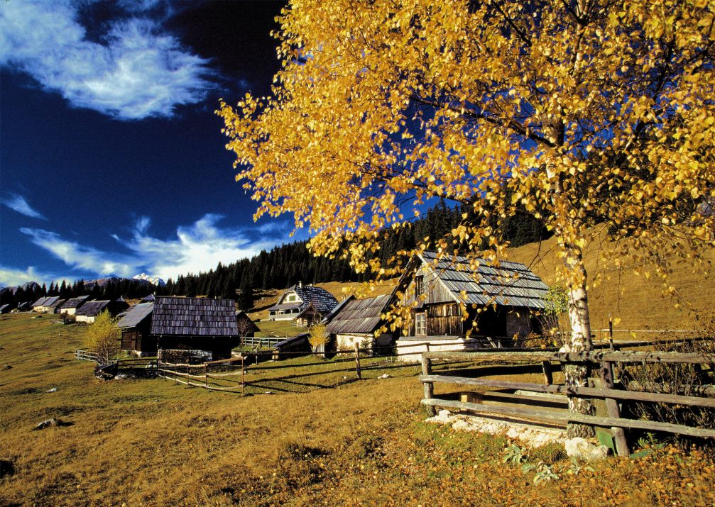 View of the Zajamniki pasture with 80 traditional wooden houses in autumn