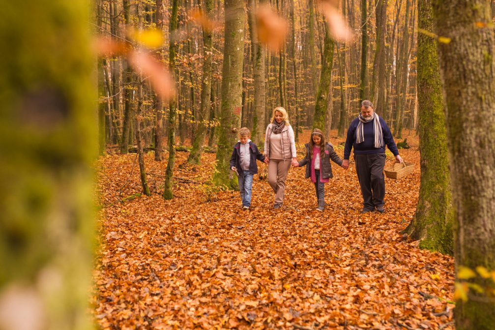An autumn family walk in the woods in Slovenia