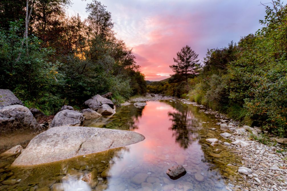 Middle course of the Dragonja river on the border between Slovenia and Croatia